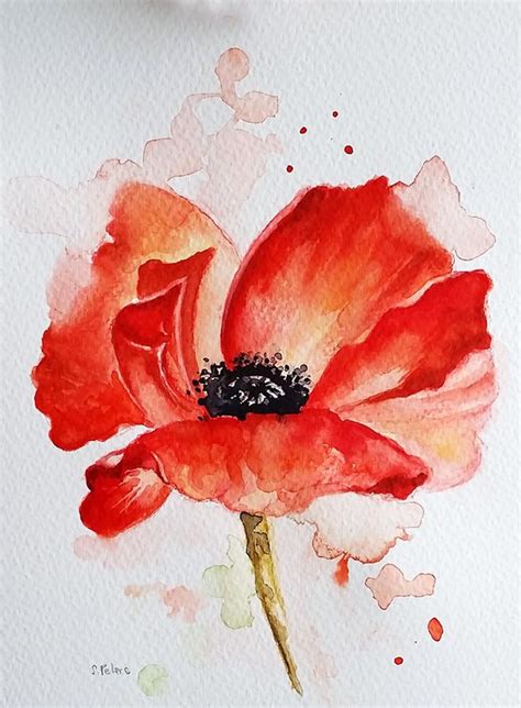 Original Watercolor Red Poppy Flower Floral Watercolor 6x8 Etsy Watercolorarts Poppy Flower