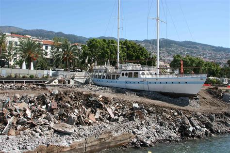 Dengue Campaign Beatles Boat Illegal” • The Original Madeira Island