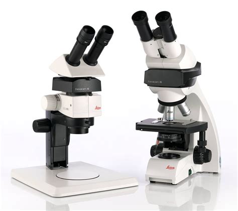Flexacam C5 Et I5 Caméras Pour Microscope Produits Leica Microsystems