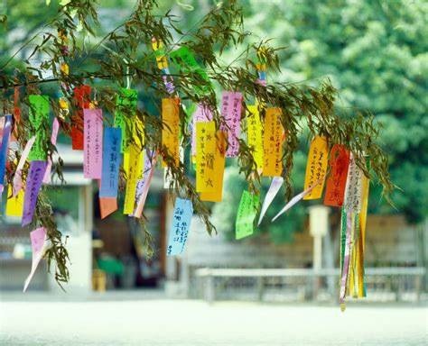 Japanese Tanabata Festival Summer Language Abroad 2022