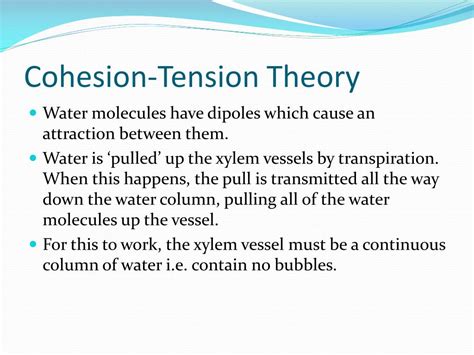 Ppt Stomata And Transpiration Powerpoint Presentation Free Download Id2250629