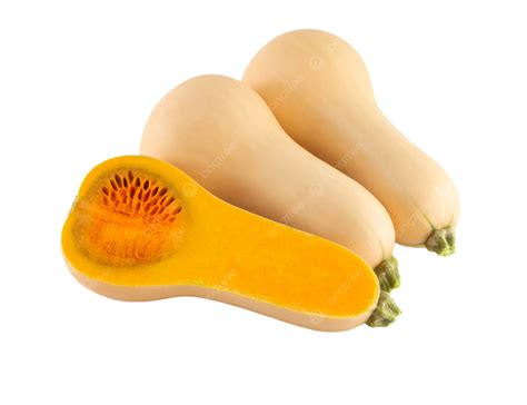 Isolated On White Background Sliced Butternut Squasha Delicious Fall Natural Half Png