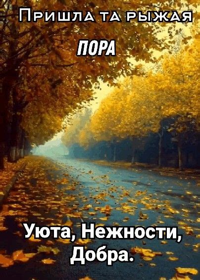 Пин от пользователя Tinysia на доске Тинуся | Осенний пейзаж, Пейзажи ...