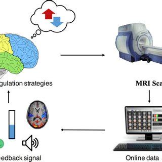 EEG-Neurofeedback system | Download Scientific Diagram