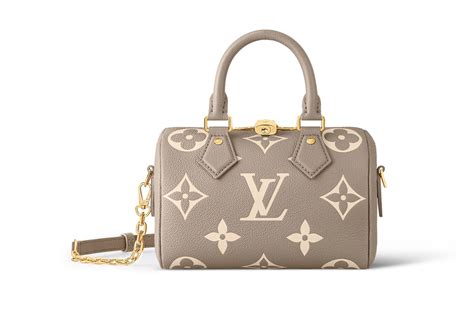 9 Best Louis Vuitton Bags To Buy Instead Of The Neverfull Tote