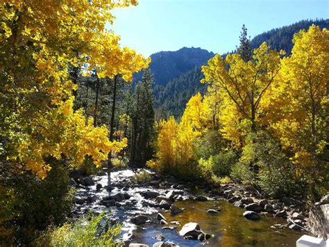 Ebbetts Pass National Scenic Byway Arnold Ca To Markleeville