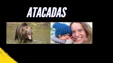 Encuentro Mortal Con Un Oso Hambriento Youtube