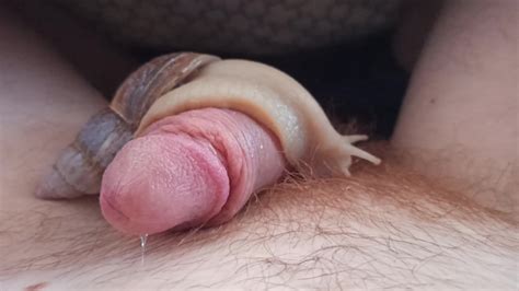 Giant Snail Gently Exploring My Soft Pink Cock