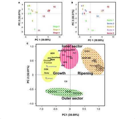 Principal Component Analysis Pca Of Estimated Oxygen Demand And