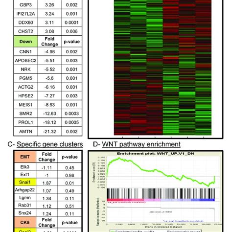 Microarray Analysis Of Control And Bmpr1a Deleted Tumors A Three Ctl