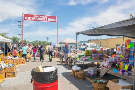 Columbus Farmers Market editorial photography. Image of people - 150343007