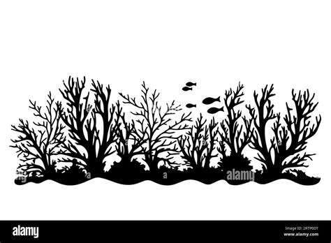 Hand Drawn Corals And Seaweed Silhouette Isolated On White Background