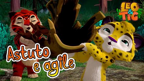 Leo E Tig Italia Astuto E Agile Cartone Animato Per Bambini Youtube