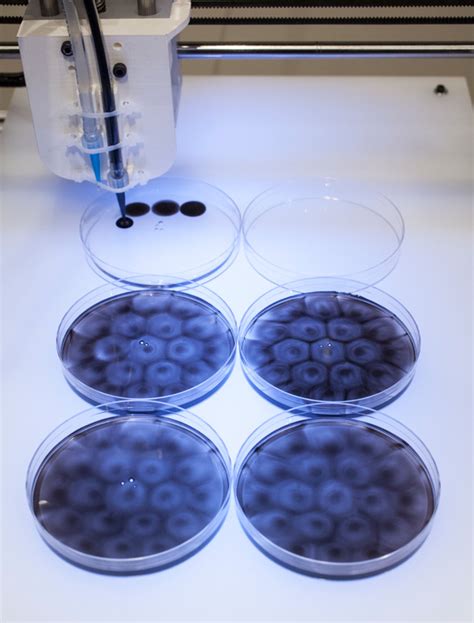 Mechanisms Of Life The Tissue Culture Art Project