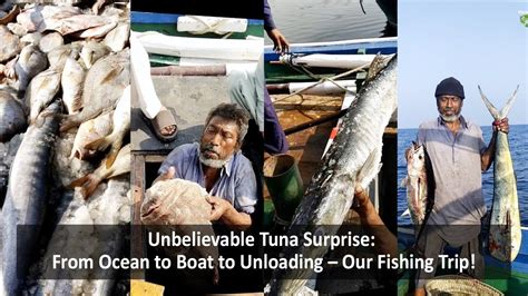 Unbelievable Tuna Surprise From Ocean To Boat To Unloading Our