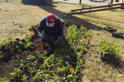 R O Grande El Municipio Realiza Tareas De Parquizado Y Embellecimiento