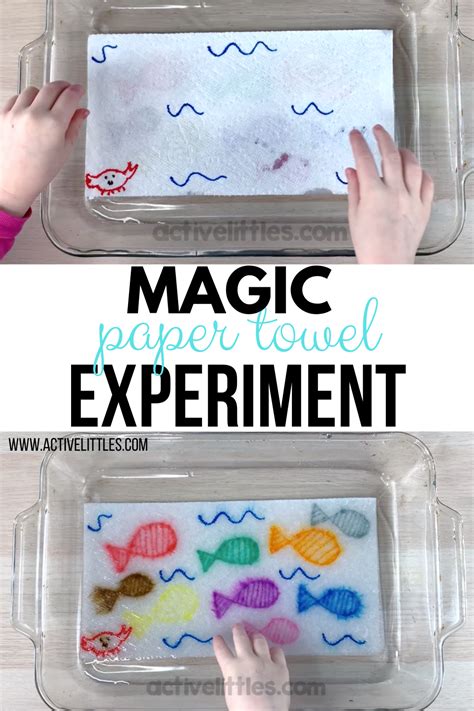 Science Experiment Paper