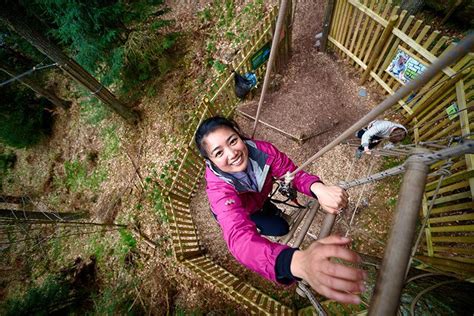 Things To Do In Hastings Visit Go Ape Bedgebury