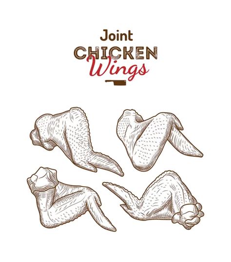 Chicken Wing Drawing