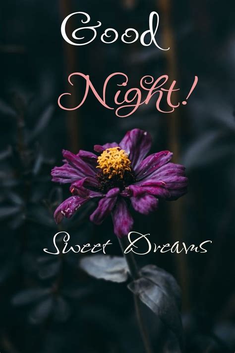 Pin By Amy Fields On Sweet Dreams In Good Night Sweet Dreams