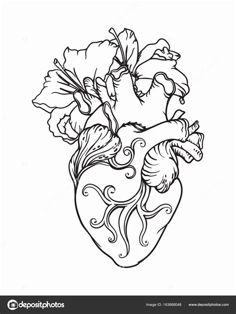 84 Human Heart Coloring Pages Fieltros Patiki