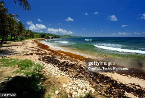 99 Bathsheba Beach Stock Photos, High-Res Pictures, and Images - Getty Images