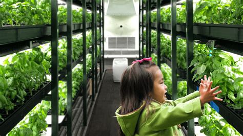 School Farming Programs Pure Greens Container Farms