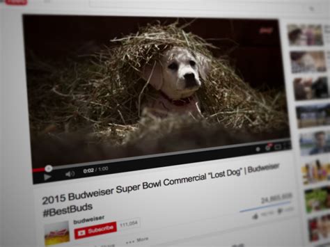 Can Budweiser's Puppy Commercials Teach Other Brands New Tricks? | Linkdex