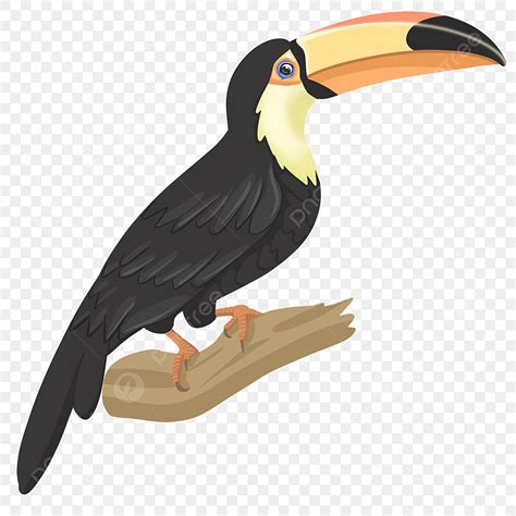 Toucan Png Image Elongated Toucan Clip Art Toucan Clipart Birds