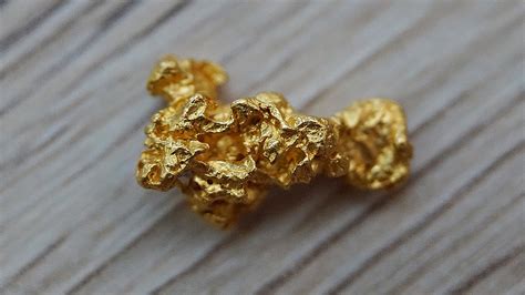 9 Surprising Facts About The Gold Rush Vested Erica Thompson