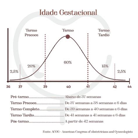 O desenvolvimento do bebê durante as semanas de gestação bônus