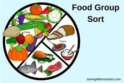 Free Food Sort Printable - Healthy eating for kids - Taming Little Monsters