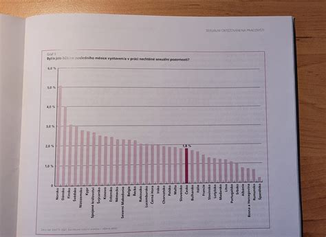 Sexuelle Belästigung Am Arbeitsplatz Länderbericht Für Tschechien