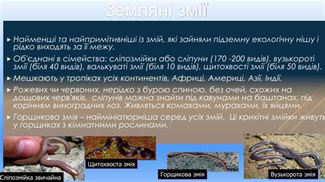 Різноманітність плазунв