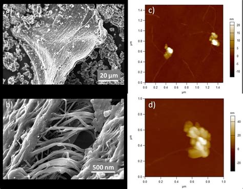 Microstructural Characterization Of Cnt Cn Fesem Images Of Cnt Cn