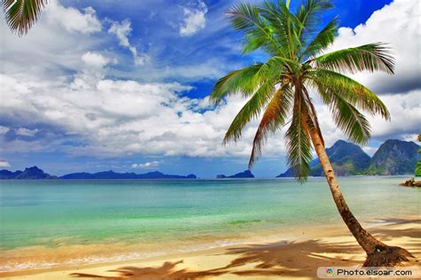 🔥 Free Download Beautiful Relaxing Tropical Scenery by @snorman52 ...