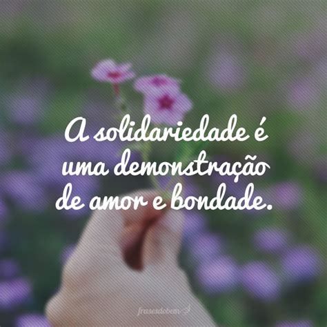 Frases De Solidariedade Para Te Ajudar A Ter Mais Empatia