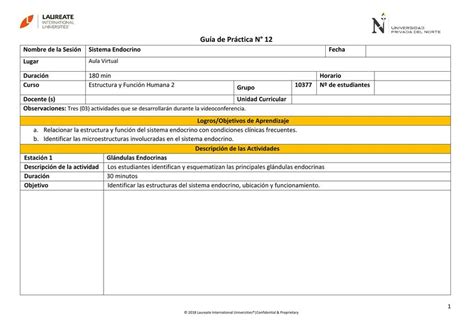 Guia N 12 S Endocrino Katherine Emily UDocz