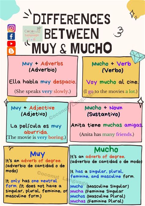 Diferencias Entre Muy Mucho Differences Between Muy Mucho Muy