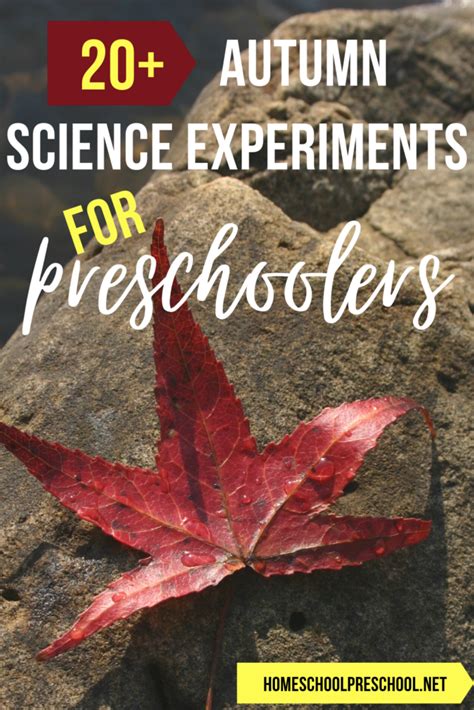 20 Engaging Fall Science Experiments For Preschoolers