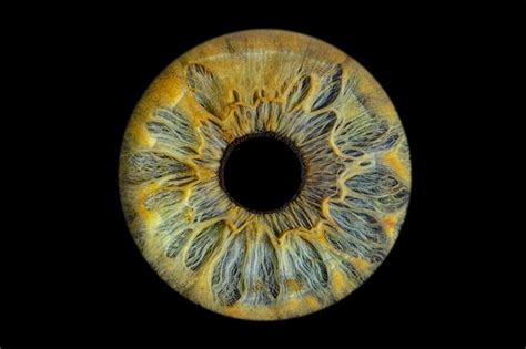 Cosmic Eye Human Eye Macro Photography