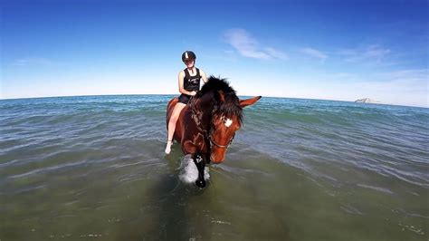 Gopro Horse Riding In New Zealand Youtube