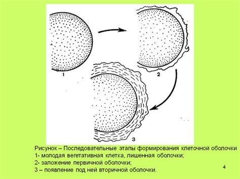Росбио