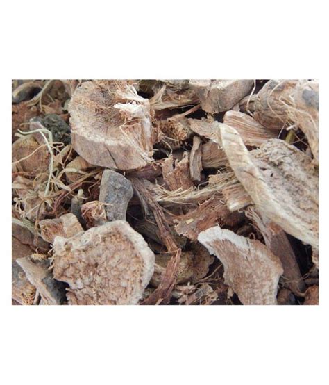 Xetomos Semal Musli Silk Cotton Raw Herbs Gm Buy Xetomos Semal