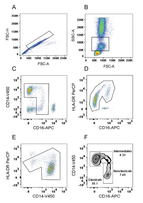 Characterization Of Human Monocyte Subsets By Whole Blood Flow