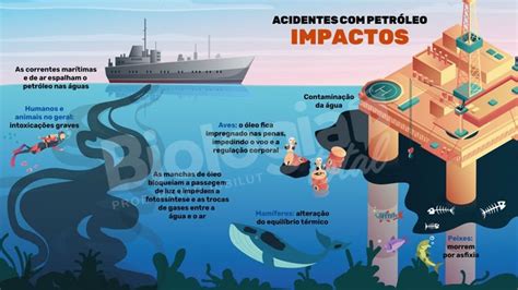 Impactos Socioambientais Da Extração De Petróleo - Os Impactos de Acidentes com Petróleo no ENEM | Trabalho de quimica ...
