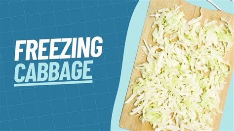 How To Freeze Cabbage Our Method For Freezing Cabbage YouTube