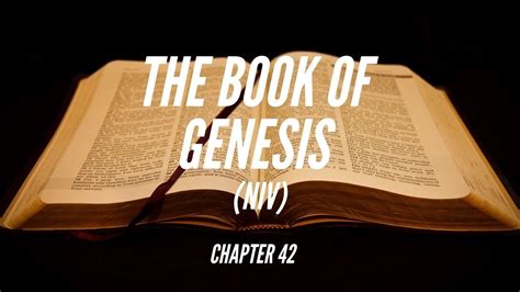 The Book Of Genesis Chapter 42 Josephs Brothers Go To Egypt Niv