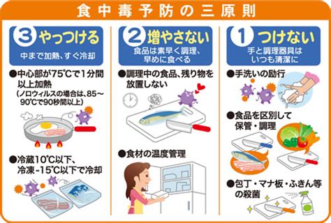 食中毒防止の3原則！夏のバーベキュー時の大切な3原則を紹介｜宮崎県に密着した無料相談 公式 株式会社 Cis 保険クリニック