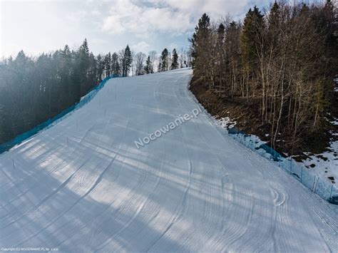 Stacja Narciarska Palenica Szczawnica Cennik Trasy Warunki